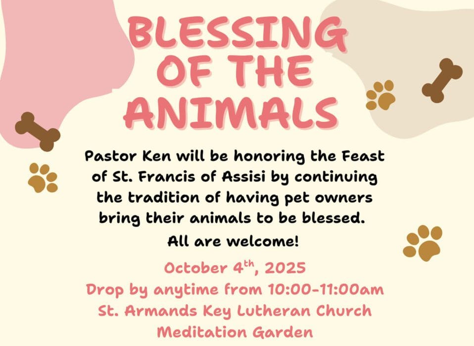 Blessing of the animals